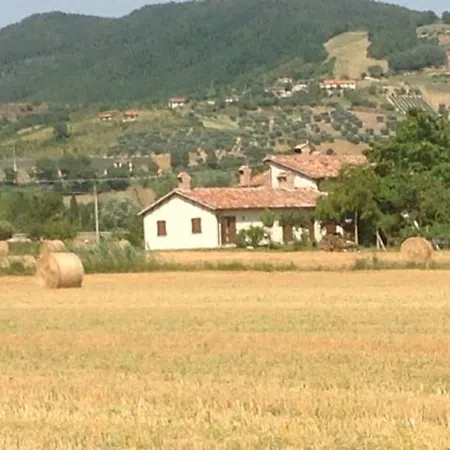 Fontecese 公寓式酒店