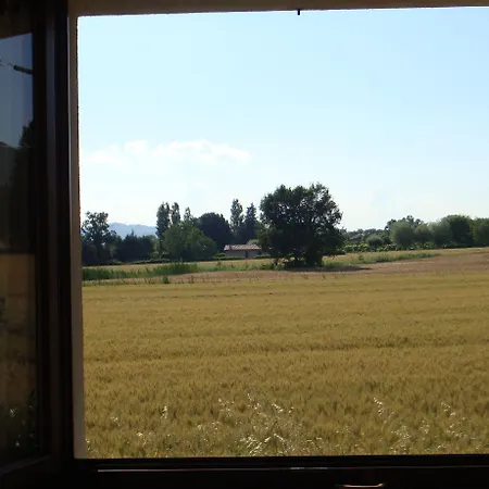 Fontecese 3*