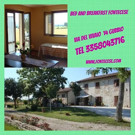 Fontecese 3*