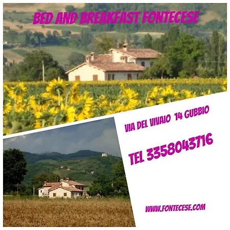 Fontecese 3* Gubbio