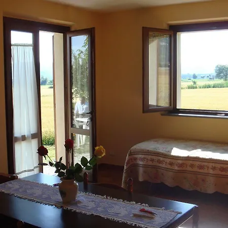 Fontecese